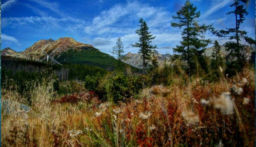 Apartmán Crocus 219 - Štrbské Pleso Vysoké Tatry